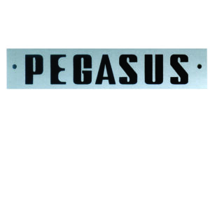 Adesivo Pegasus 5 Unidades  179